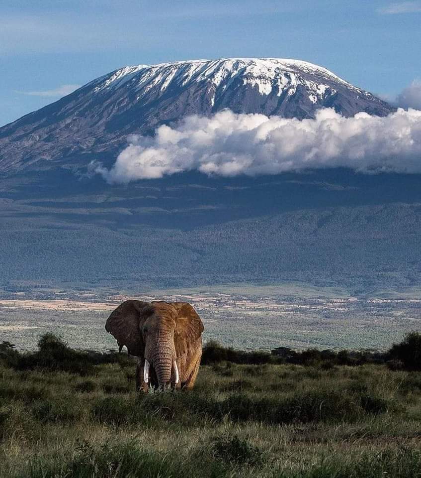 Amboseli 01